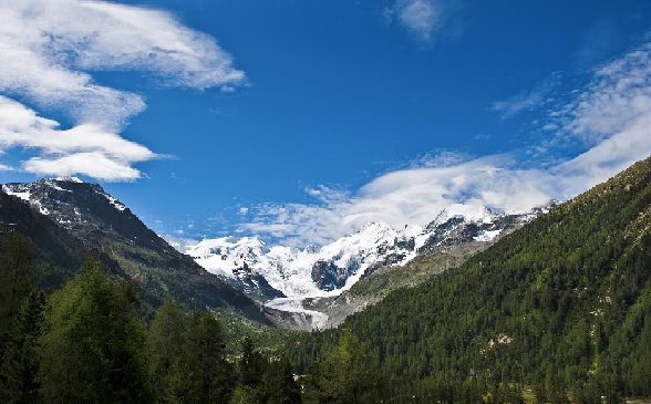 The Swiss mountains are home to an extraordinary variety of animal and plant species.