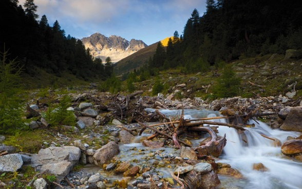 Un parque nacional en mitad de las montañas suizas. Su objetivo consiste en preservar la naturaleza.