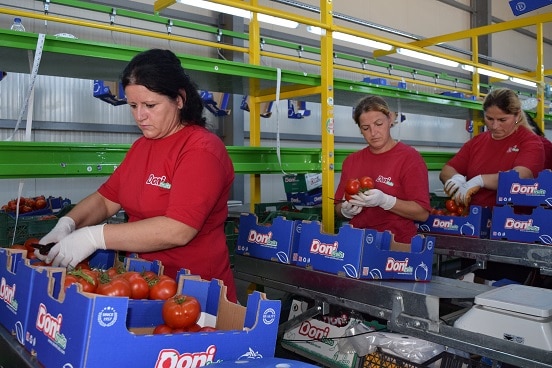Workers at agribusiness centre DONI Fruit in Lushnje, Albania