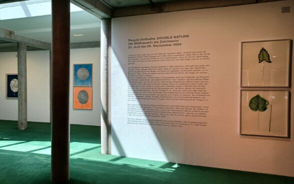 Ausstellungsansicht «Double Nature»