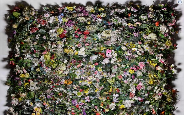 «Herbarium der Gefühle»