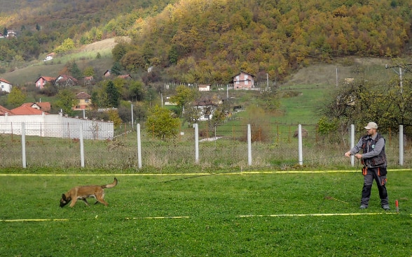 Demining centre Vogosca_dogs_mine action_BiH