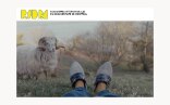 RIDM : Preparations for a Miracle