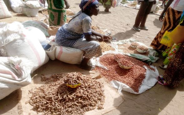 A vendor of non-timber forest products (NTFPs) sitting in front of her stalls on the ground on market day: jujube, tamarind (Ziziphus mauritiana, Tamarindus indica) and balanites aegyptiaca.