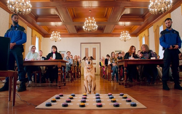 "Le procès du chien" (Dog on Trial)