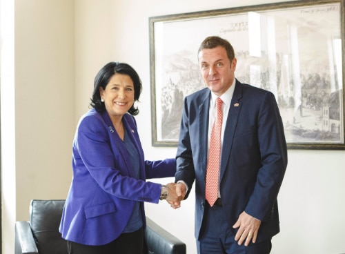 Ambassador Franzen and President Zurabishvili shake hands