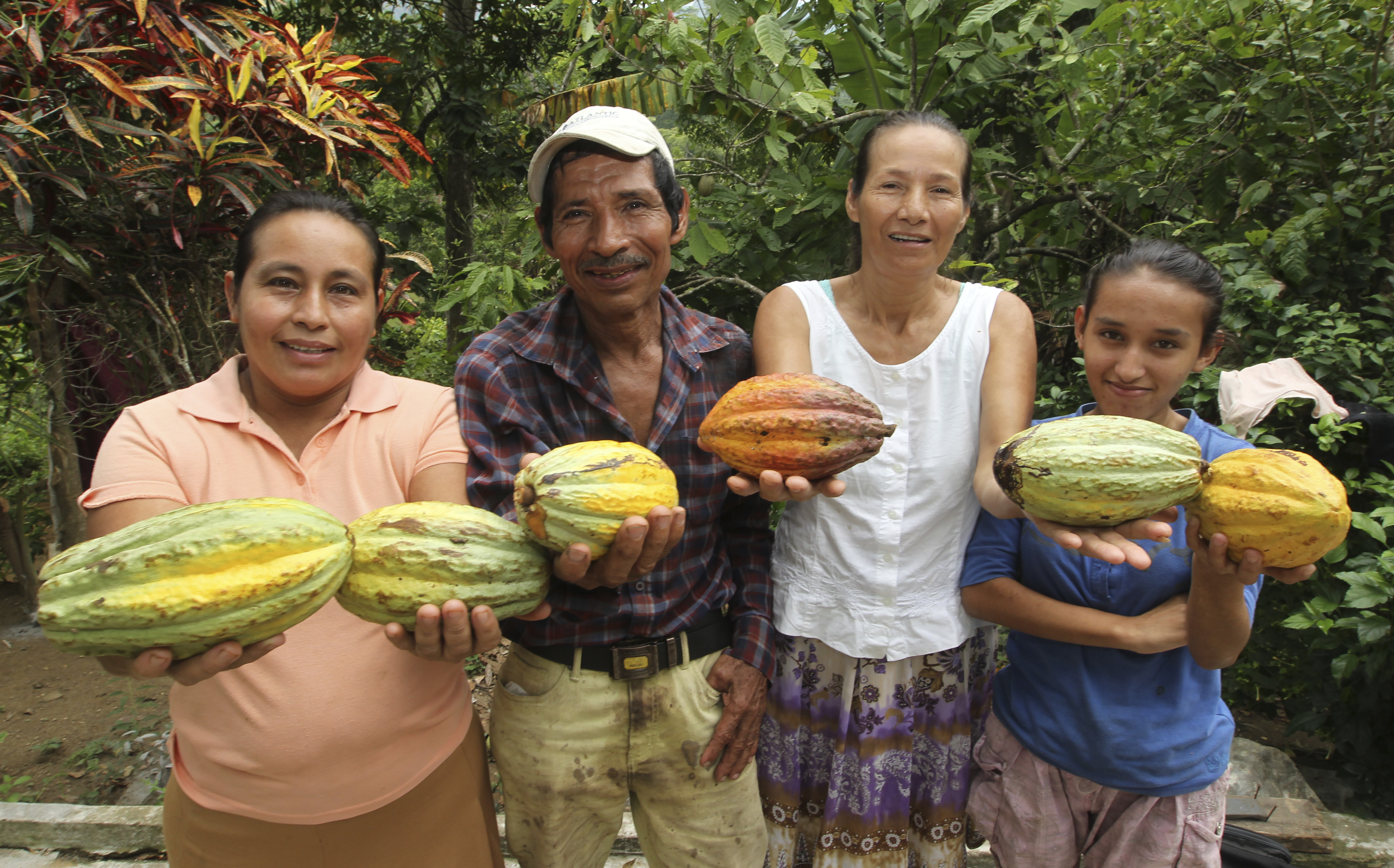 Cocoa Chain Value Family