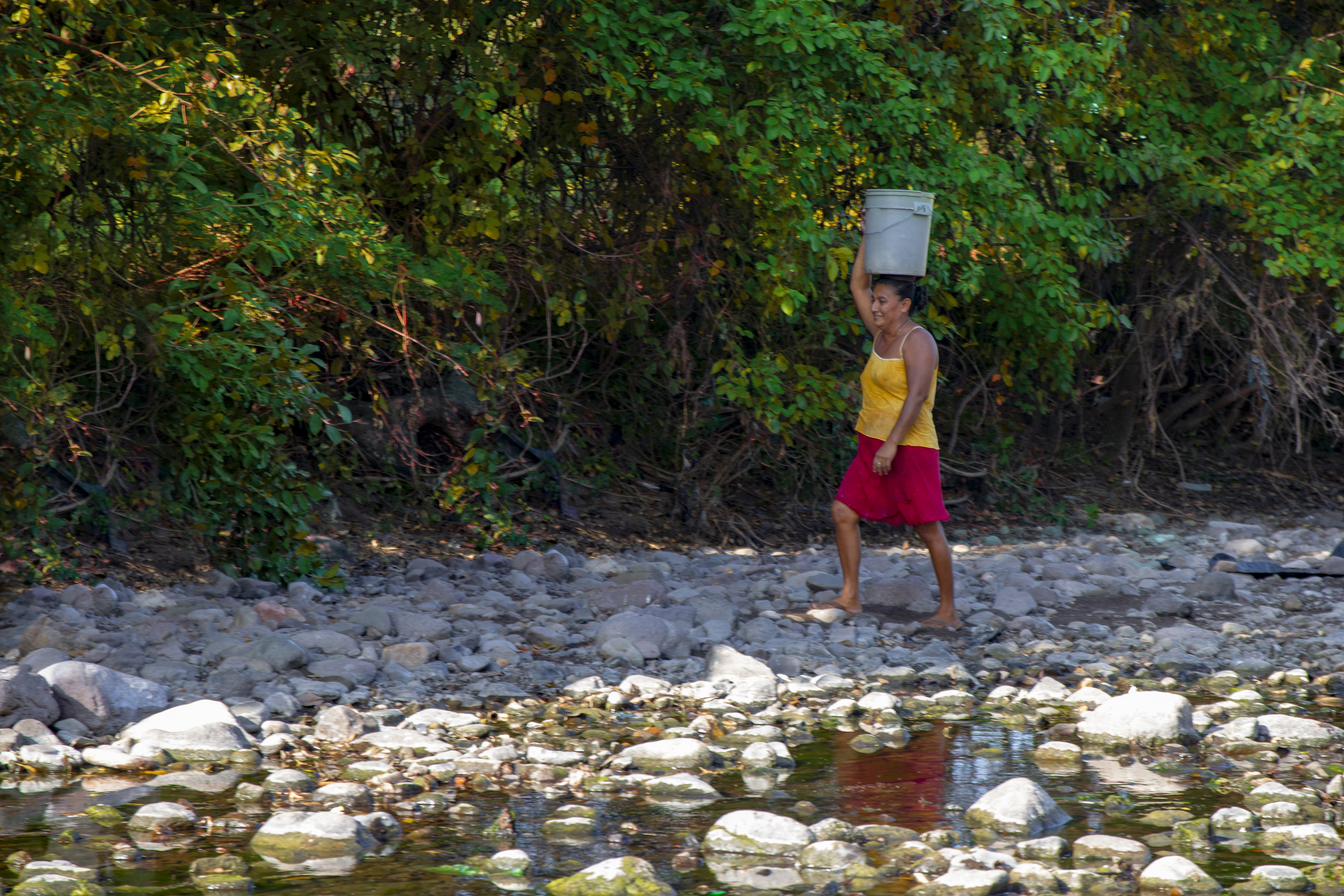 Sin agua no hay vida