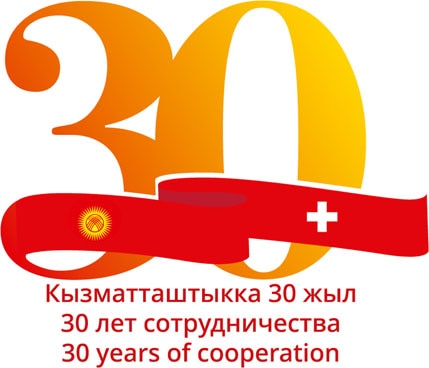 Anniversary logo