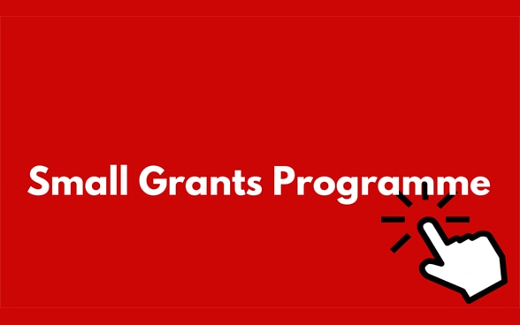 Small Grants Programme