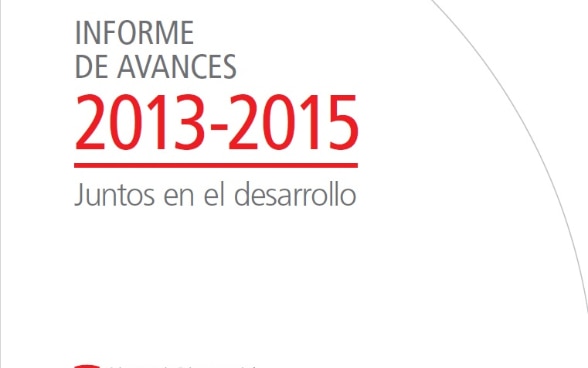 Informe de avances 2013-2015