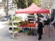 Besserer Zugang zu Märkten für frisches Obst und Gemüse (FFV) Produzenten (Männer und Frauen), besetztes palästinensisches Gebiet