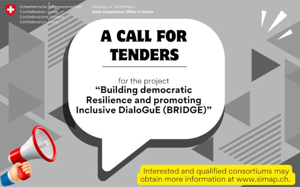 Announcement of the tender for the new project 'Building democratic Resilience and promoting Inclusive DialoGuE (BRIDGE)'