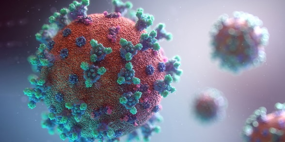 Visulalisation of the COVID-19 virus
