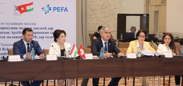 PEFA presentation discussion