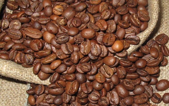 Roasted coffee beans