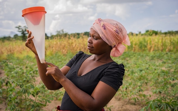 The response to the Flash Appeal follows another recent allocation of US$2 million from the Swiss Government.