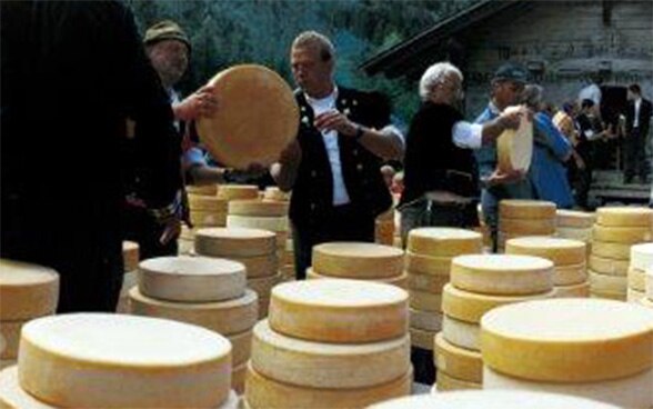 Sharing cheese celebrating the Swiss traditional fair Cheese sharing in Justistal