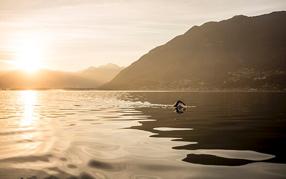 Per raggiungere la città di Milano a nuoto in occasione dell'Esposizione universale del 2015, l'ambasciatore dell'acqua Ernst Bromeis attraversa in stile libero il Lago Maggiore. Sullo sfondo, il sole si riflette sulle acque del lago.
