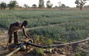 Un coltivatore senegalese fa funzionare la sua motopompa.