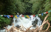 Rami di alberi ammassati sulla riva di un fiume.