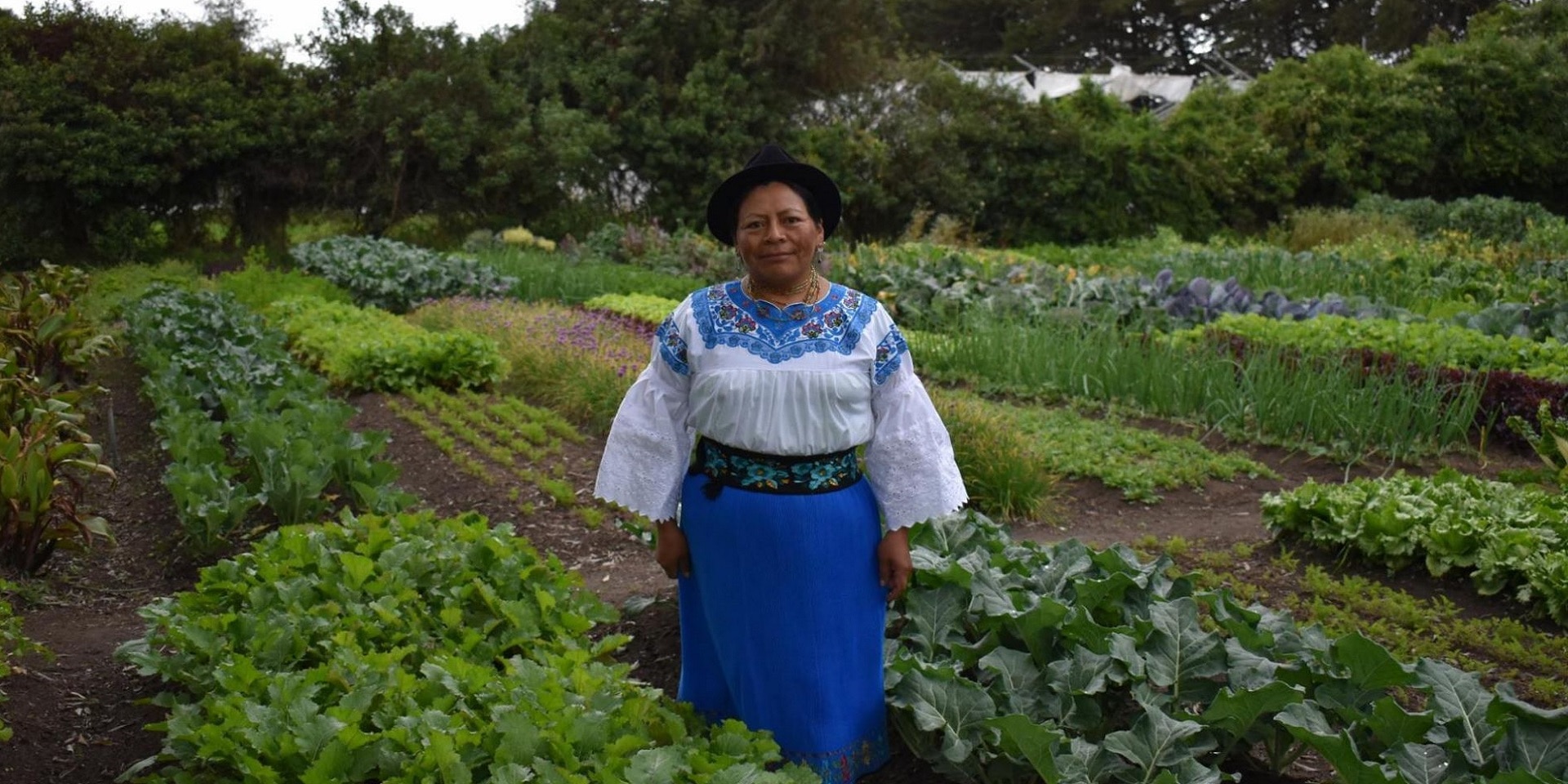Erlinda Pillajo si trova nel suo terreno in Ecuador.
