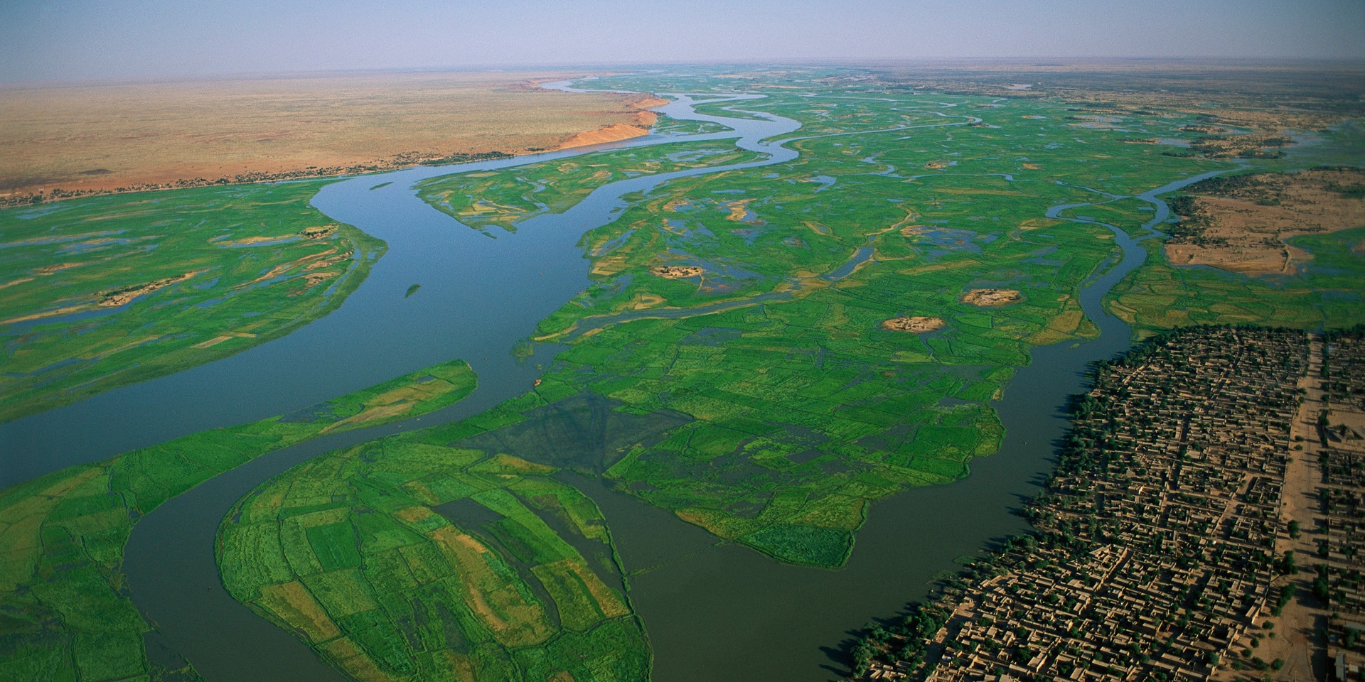 Reisfelder im Fluss Niger in Mali.