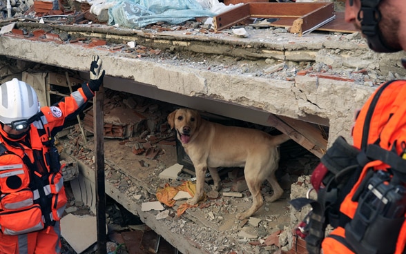 Trois membres de la Chaîne suisse de sauvetage se tiennent devant les décombres d'une maison qui s'est effondrée. Un chien se tient sur les débris.