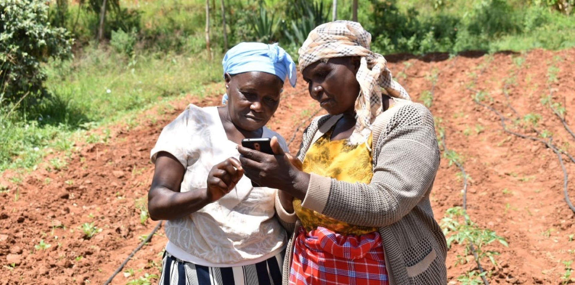 Due donne in un campo guardano uno smartphone.