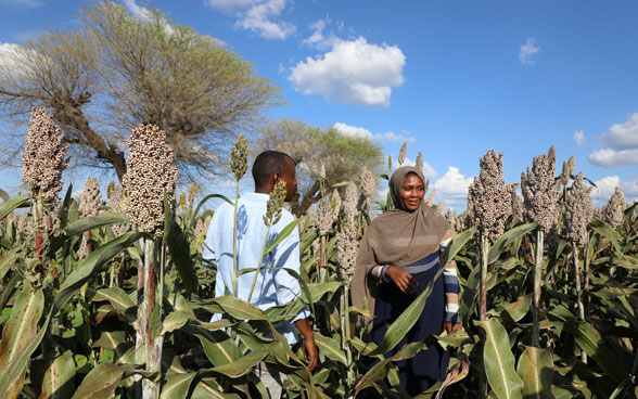 Un agriculteur et une agricultrice au milieu de leurs plantations.