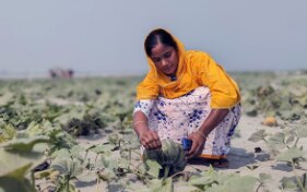 Des acteurs suisses unissent leurs forces pour lutter contre la crise climatique au Bangladesh