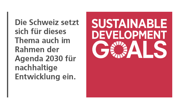 Sustainable Development goals Agenda 2030