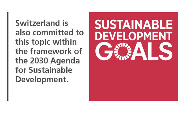 Sustainable Development goals Agenda 2030