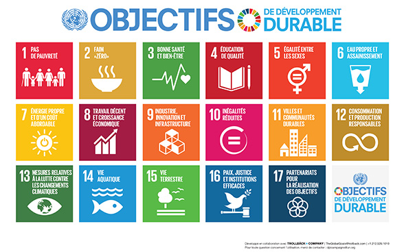 Logo of 17 goals for sustainable development 