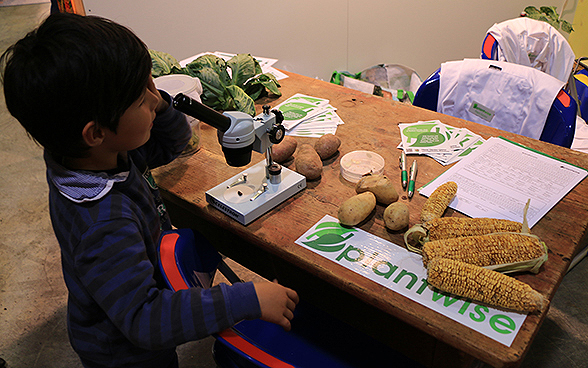 Un enfant regarde à travers un microscope lors de l'exposition spéciale de la DDC à l'OLMA 2015.