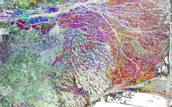 Immagine satellitare di una zona risicola. Gli indicatori colorati consentono di stimare i raccolti. 
