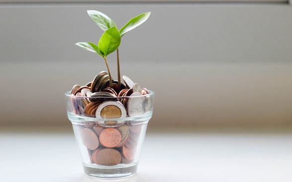A plant sprouts from coins.