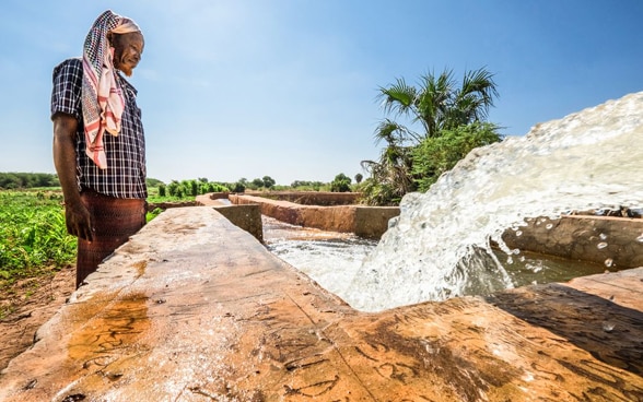 La imagen muestra a un hombre bajo un sol abrasador ante un canal de agua.