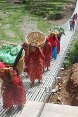 Donne attraversano un ponte trasportando dei cesti.