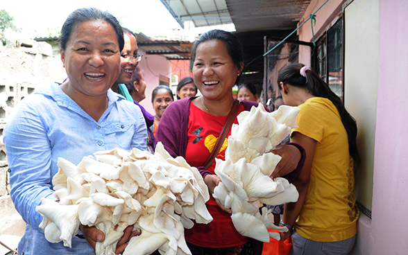 Due donne nepalesi tengono in mano i funghi appena raccolti.