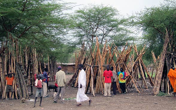 A group of people standing in front of rows of long tree branches.