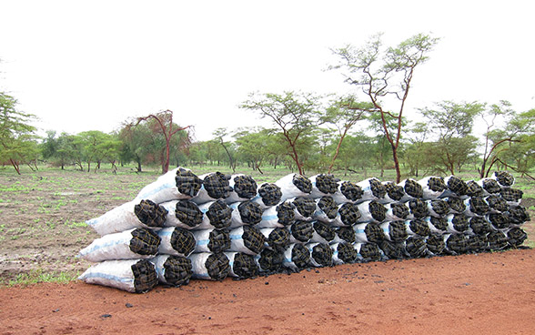 Charcoal sacks by the side of a road.