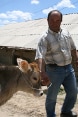 Un contadino armeno con il suo vitello