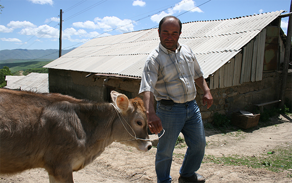 Un fermier arménien avec son veau