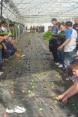 Landwirtschaftsschule in Pristina. Vocational Education Support Project 2011