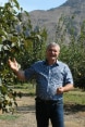 L’immagine mostra un frutticoltore armeno di fianco a uno dei suoi alberi da frutta.