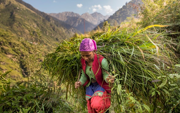 Una mujer con ropa tradicional de colores cultiva la tierra en una región montañosa y lleva hierba recién cortada a hombros.