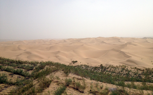 Paysage désertique dans la province septentrionale chinoise de Ningxia. 