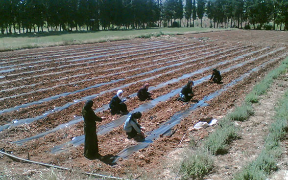 Unas mujeres trabajando en un campo-escuela