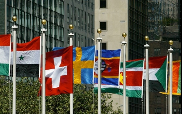 Hellgrau hinterlegte Elemente müssen in die vier EDA-Sprachen übersetzt werden. Fahnen verschiedener Staaten wehen im Wind vor einem Hochhaus – dem UNO-Hauptquartier in New York.